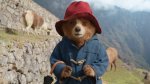 Paddington v džungli